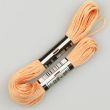 Embroidery floss / Orange 1532 (634)