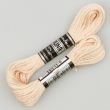 Embroidery floss / Beige 1753 (679)