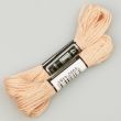 Embroidery floss / Beige 1767 (651)