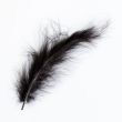 Feather / Marabou / Black