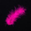 Feather / Marabou / Fuchsia