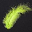 Feather / Marabou / Pistachio