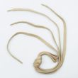 Boot lace / Flat / 120 cm / 296 Beige