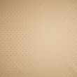 Lining with pattern / Golden