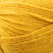 Yarn King Cole Wildwood Chunky / 5028 Autumnal