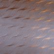 Lining with pattern / Orange
