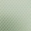 Lace / Light Green