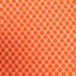 Lace / Orange