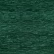 Crinkle velvet / Green