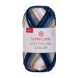 Yarn Soffie Crafts Cottolino Color 50 g / elegant 01