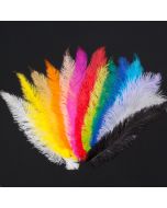 Sulg / Jaanalinnu / 40 cm / Erinevad toonid