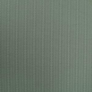 Paks trikotaaž / D2