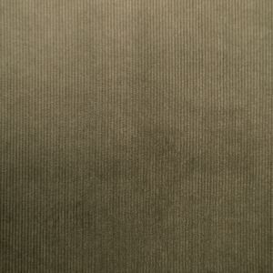 Velvet Soft Touch Couroy / D5 Khaki