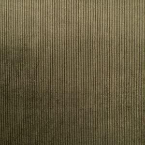 Velvet Soft Touch Couroy / D8 Khaki