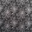 Lükra Punto Roma Jacquard Fiore / D1