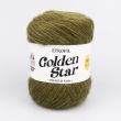 Lõng Etrofil Golden Star meriinovillaga 100 g / 74065 Khaki