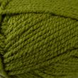 Пряжа WoolBox Chunky 100г / Зеленый 144