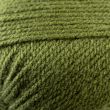 Пряжа WoolBox DK 100г / Темно-зеленый