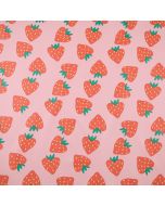 Ткань для дождевика / K68516