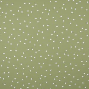 Ткань для дождевика / Светло-зеленый