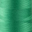 Нить для оверлока / Зелёный 243