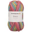 Пряжа Schachenmayr Bravo Color 50 g / 02120 Clown