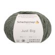 Пряжа Schachenmayr Just Big 100 g / 00070 Salbei Meliert