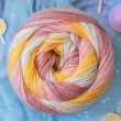 Пряжа Emu Funfair Swirl DK 150 г / Teacups 004