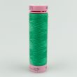 Швейная нить ASPO 120 5x100m / 0239 Ivy