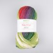 Пряжа Abakhan Merry & Bright Noel Twist DK 100 г / 2 Зеленaя